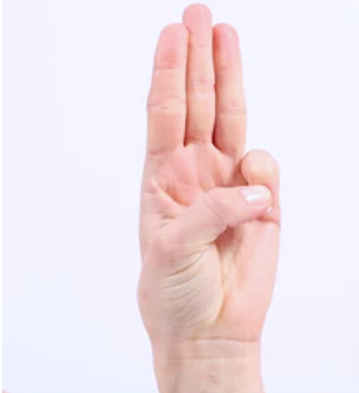 VARUNA MUDRA